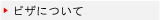�ӥ��ˤĤ���