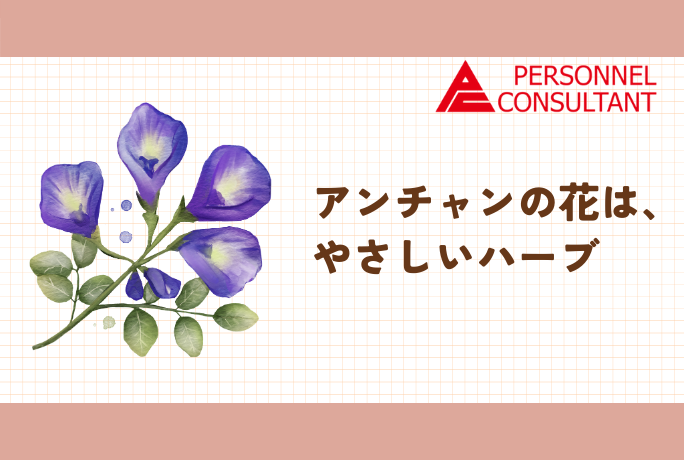 アンチャンの花は、やさしいハーブ